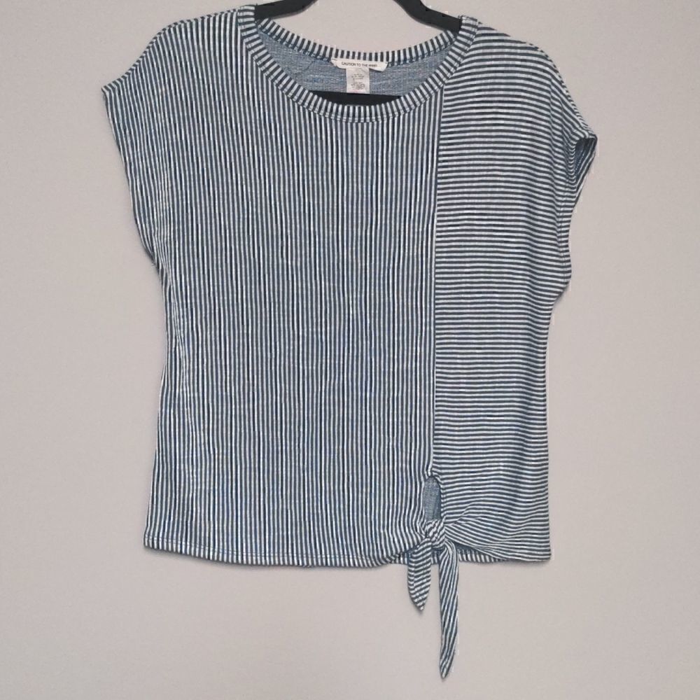Caution to the Wind Blue and White Cap Sleeve Blouse